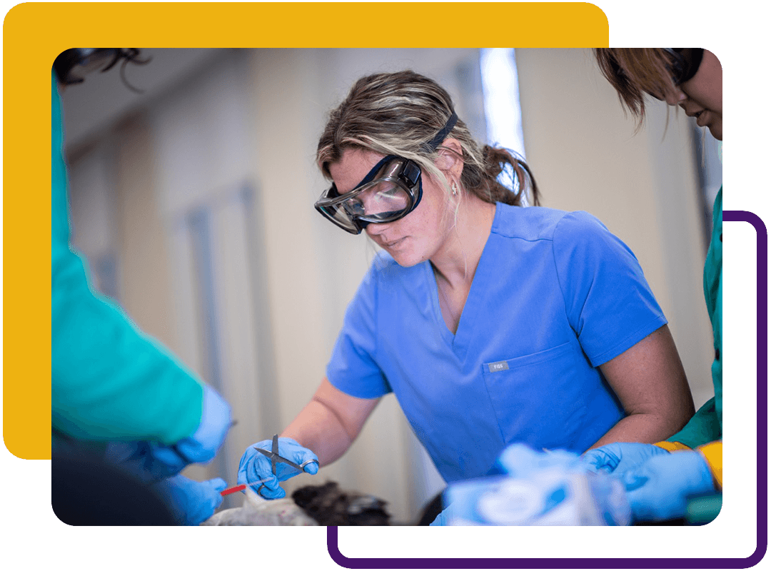 A student wearing scrubs and goggles practicing in a medical environment.