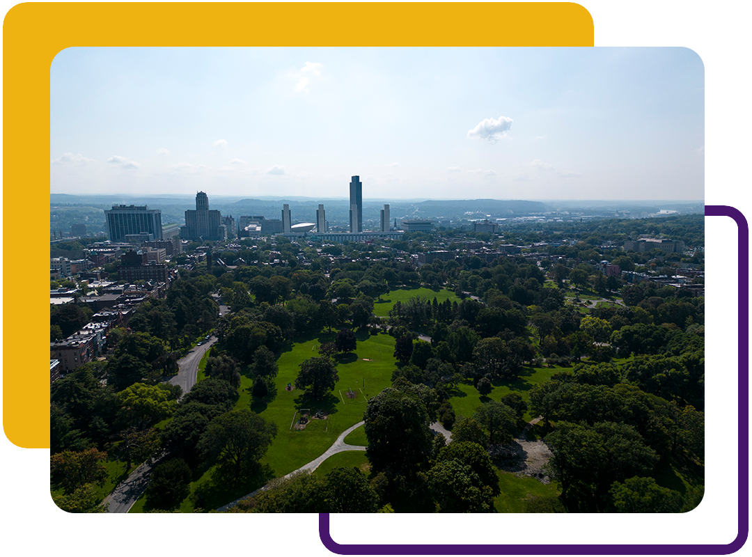 An aerial image of green space.